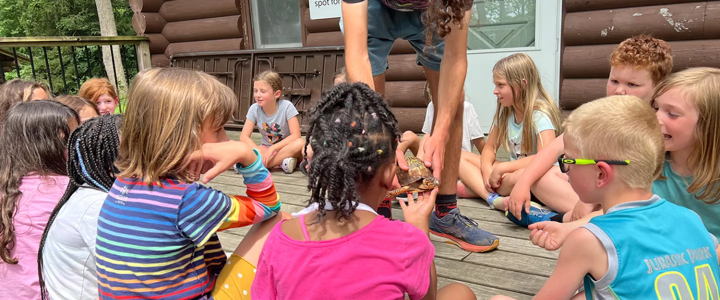 Staff showing campers a turtle