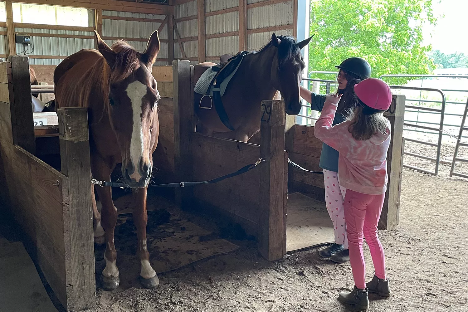 Campers petting a horse